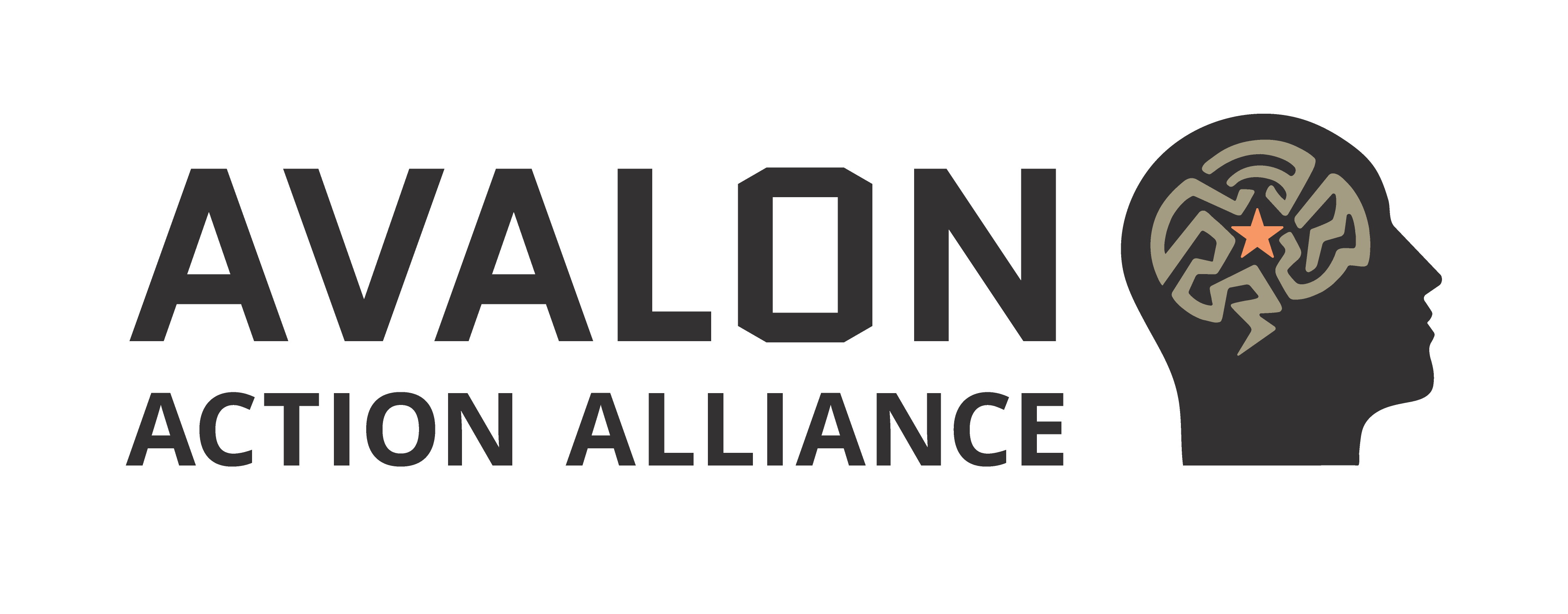 Logo of a head icon highlighting the brain with the words "Avalon Action Alliance"