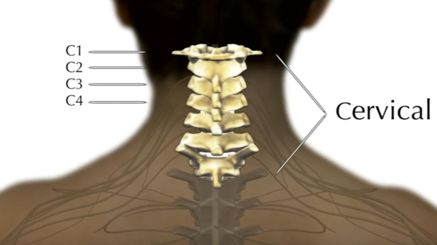 Cervical Spinal Cord Injury: Functions Affected & Recovery
