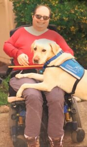 A person in a red shirt and sunglasses sits in a wheelchair, smiling, with a yellow service dog wearing a blue "Canine Companions" vest resting its front legs on their lap.