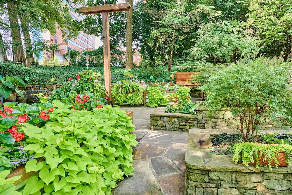 A lush garden with stone planters and steps, filled with green foliage and vibrant blooming flowers, surrounded by tall trees and shaded by their canopy. Benches and a wooden pergola are visible in the background.